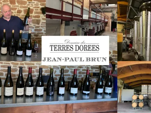 Jean-Paul Brun, vigneron du Domaine des Terres Dorées, présente ses vins. La cave et les cuves de vinification sont visibles.
