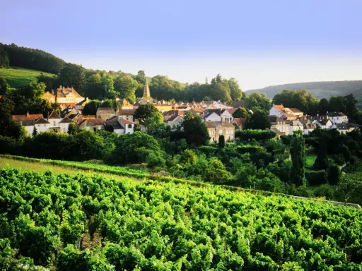 Village pittoresque niché au cœur d'un vignoble verdoyant, sous un ciel bleu clair. La tâche vin est omniprésente.